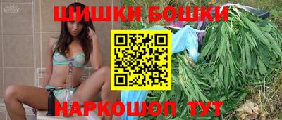 крисы Гай
