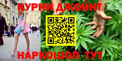 крисы Гай