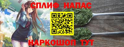 крисы Гай