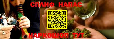 крисы Гай