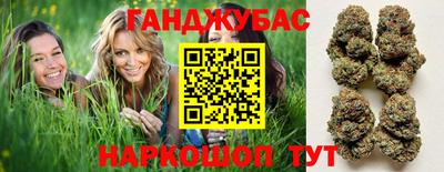 крисы Гай