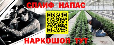 крисы Гай