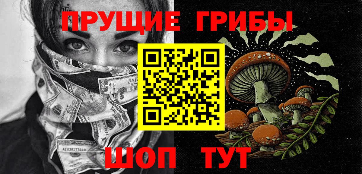 Старая Русса  Галлюциногенные грибы мицелий  Вход с VPN  Псилоцибиновые грибы Psilocybine cubensis 