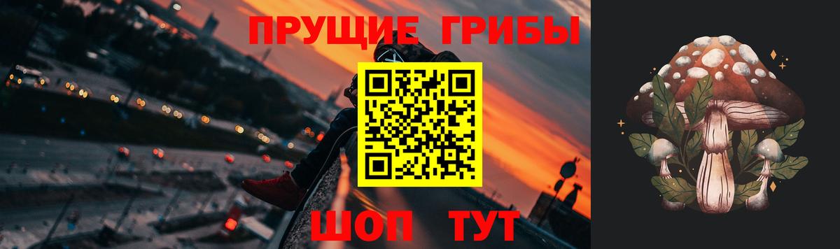 Галлюциногенные грибы Psilocybine cubensis Старая Русса