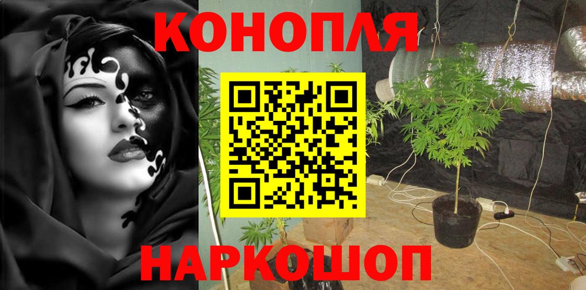 Бошки марихуана марихуана  Вход с VPN  Марихуана White Widow  Старая Русса  Конопля гибрид 